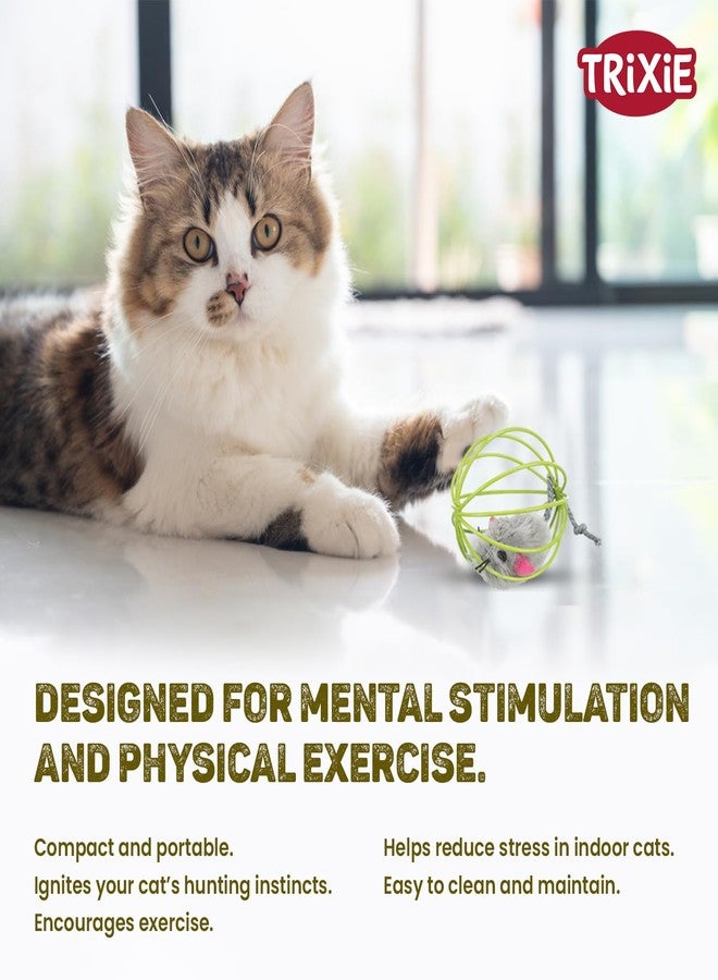 TRIXIE Mouse in A Wire Ball Toy for Cats - Fun Rolling Interactive Toy with Faux Mouse Inside, Perfect Cat Toy for Indoor Play, Set of 2 in Random Colors,6cm - Image 5